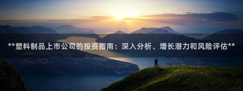 太阳集团游戏城旧版：**塑料制品上市公司的投资指南：深入分析