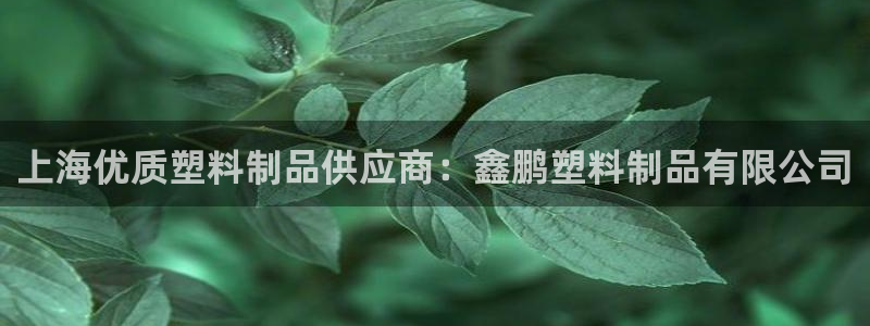 122cc太阳集成游戏官方网站版：上海优质塑料制品供应商：鑫
