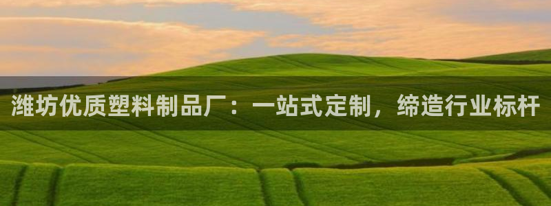 太阳集团8027：潍坊优质塑料制品厂：一站式定制，缔造行业标
