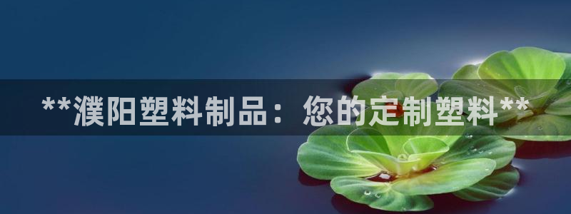 太阳集团3143：**濮阳塑料制品：您的定制塑料**
