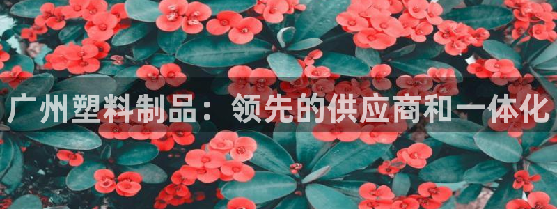 太阳http下载：广州塑料制品：领先的供应商和一体化