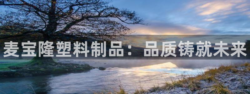 太阳集团电子游戏宙斯：麦宝隆塑料制品：品质铸就未来