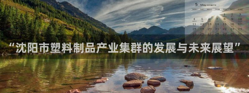 太阳集团唯一值得信赖网站是什么：“沈阳市塑料制品产业集群的发