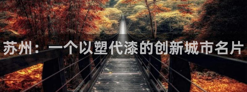 太阳gg登录首页：苏州：一个以塑代漆的创新城市名片