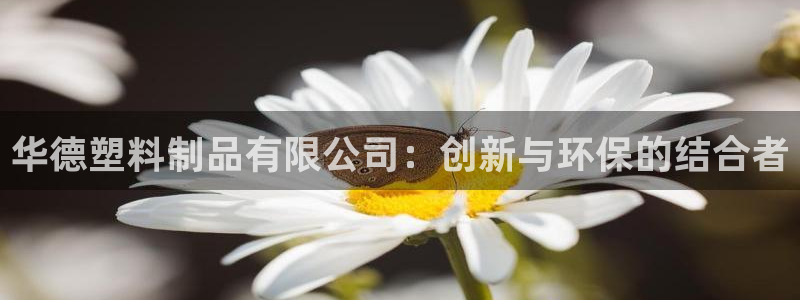 太阳集团游戏城新版138：华德塑料制品有限公司：创新与环保的