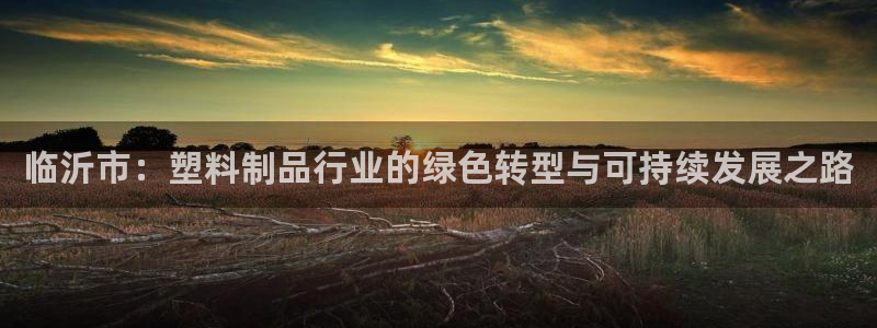 太阳app官网下载入口：临沂市：塑料制品行业的绿色转型与可持