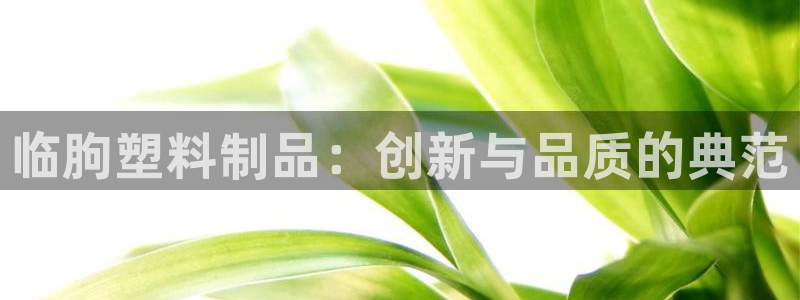 太阳集团城网址：临朐塑料制品：创新与品质的典范