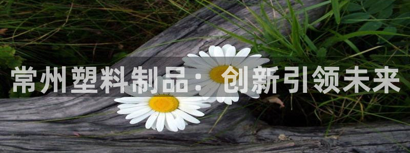 太阳集团主要是做什么的：常州塑料制品：创新引领未来