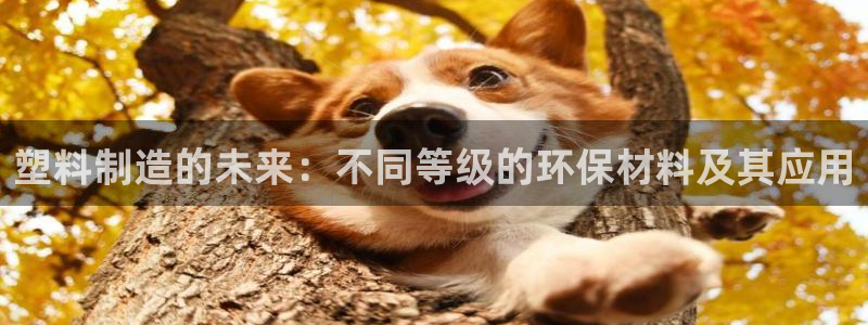 太阳成集团tyc151：塑料制造的未来：不同等级的环保材料及
