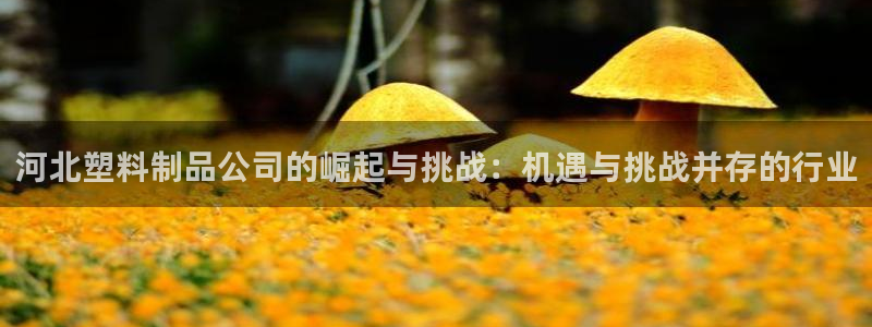 太阳成娱乐集团：河北塑料制品公司的崛起与挑战：机遇与挑战并存