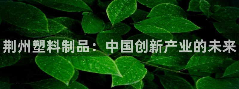 太阳集团娱乐官方网站入口：荆州塑料制品：中国创新产业的未来
