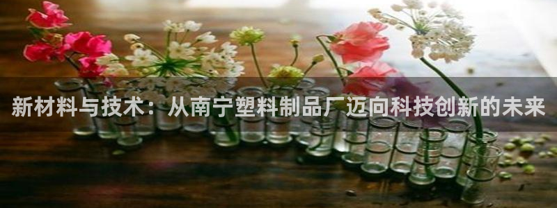 太阳诚集团有限公司：新材料与技术：从南宁塑料制品厂迈向科技创
