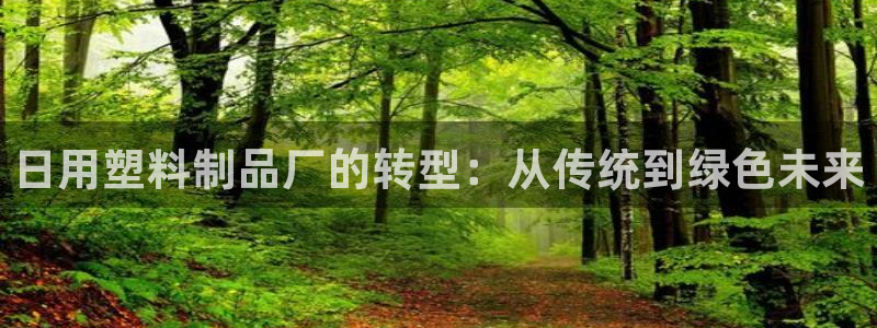 太阳诚集团有限公司怎么样：日用塑料制品厂的转型：从传统到绿色