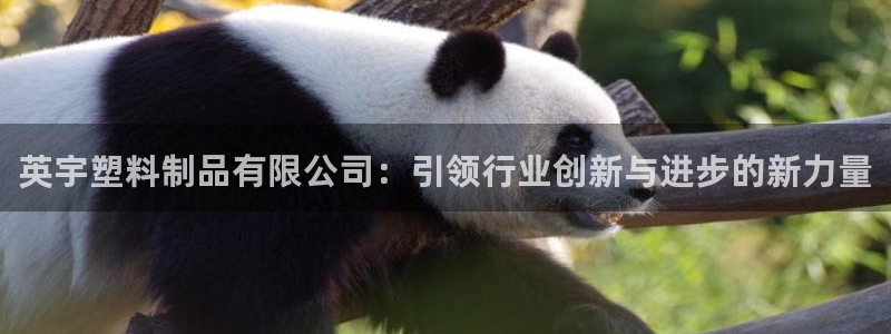 太阳成集团tyc33455cc平台：英宇塑料制品有限公司：引