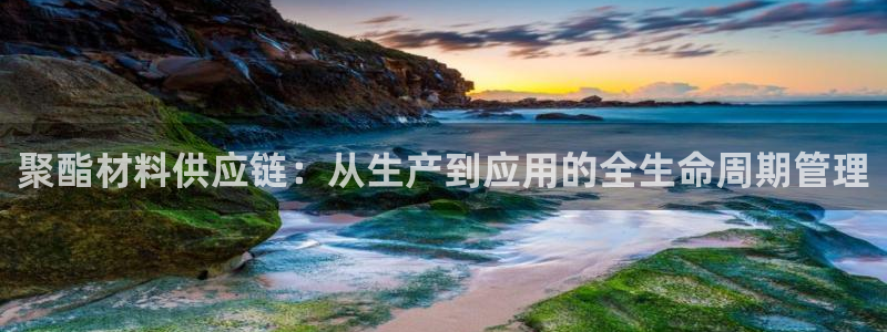 太阳成集团网站5：聚酯材料供应链：从生产到应用的全生命周期管