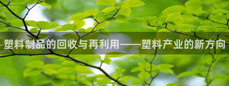 太阳集团是什么集团：塑料制品的回收与再利用——塑料产业的新方