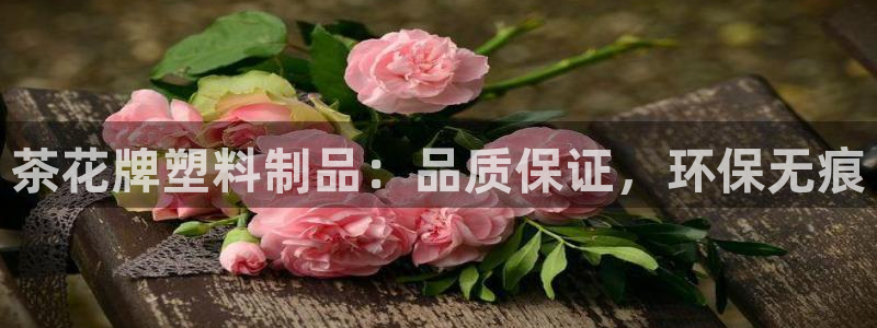 太阳集团所有网址168：茶花牌塑料制品：品质保证，环保无痕