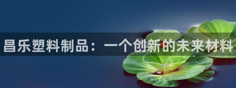 太阳集团2021备用网址：昌乐塑料制品：一个创新的未来材料