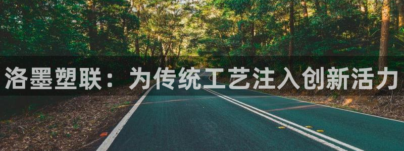 太阳集团股东：洛墨塑联：为传统工艺注入创新活力