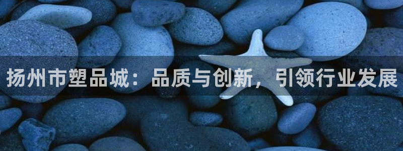 太阳游戏城app：扬州市塑品城：品质与创新，引领行业发展