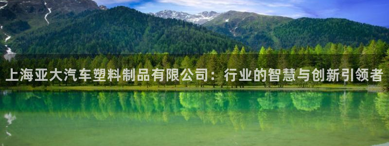 古天乐太阳集团城app：上海亚大汽车塑料制品有限公司：行业的
