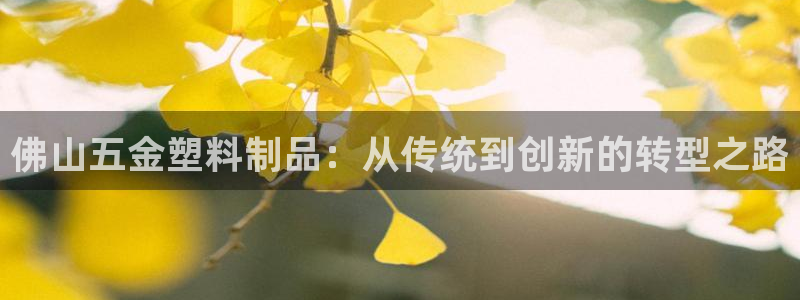 太阳gg官网登录：佛山五金塑料制品：从传统到创新的转型之路