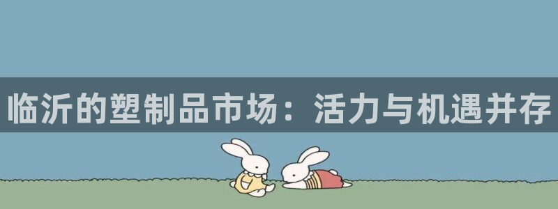 太阳诚集团是干什么的：临沂的塑制品市场：活力与机遇并存