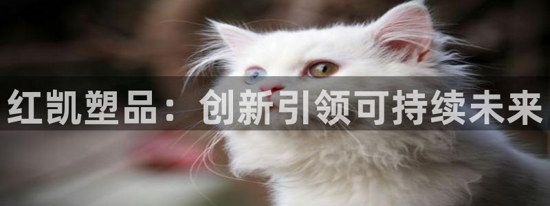 太阳集团市值：红凯塑品：创新引领可持续未来