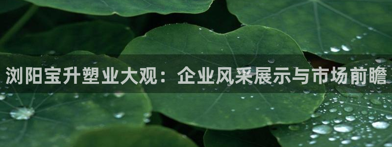 太阳集团是什么公司：浏阳宝升塑业大观：企业风采展示与市场前瞻