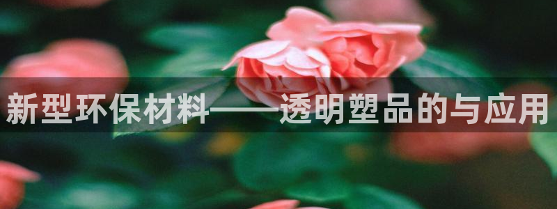 太阳集团的法人代表：新型环保材料——透明塑品的与应用