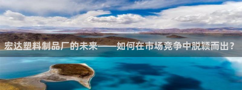 太阳gg平台登陆：宏达塑料制品厂的未来——如何在市场竞争中脱