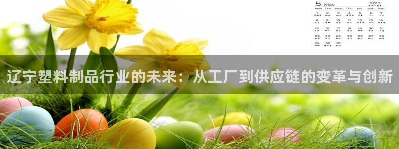 太阳集团电子游戏大全：辽宁塑料制品行业的未来：从工厂到供应链