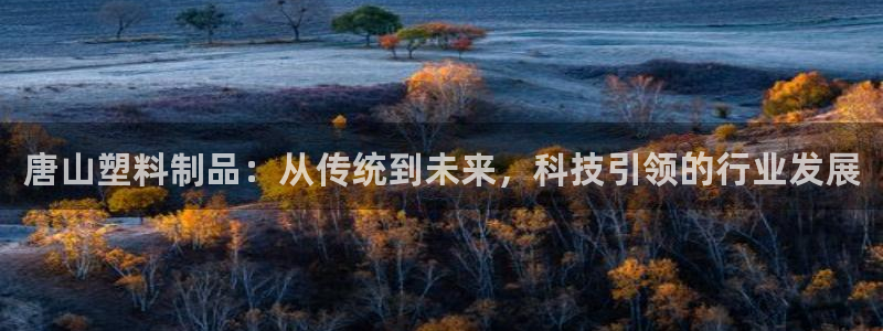 太阳集团下载链接怎么下载：唐山塑料制品：从传统到未来，科技引