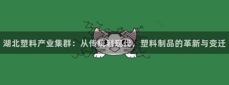 太阳成集团tyc234cc集团产业：湖北塑料产业集群：从传统