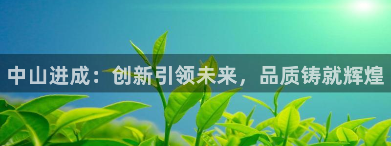 太阳集团电子游戏如何赚钱：中山进成：创新引领未来，品质铸就辉