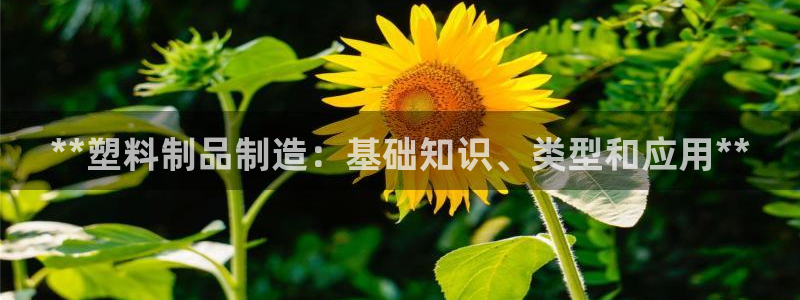 太阳老板身价：**塑料制品制造：基础知识、类型和应用**