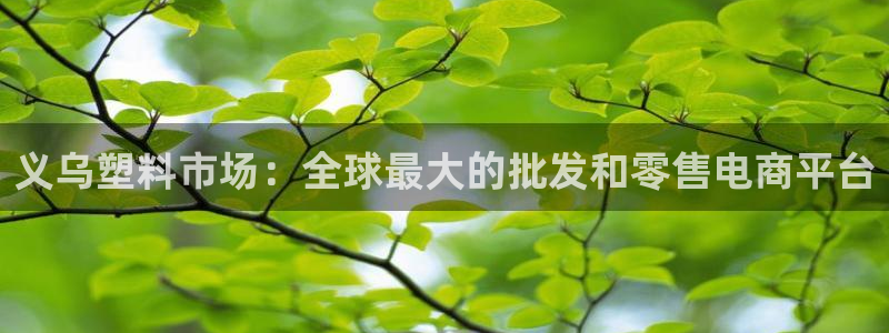 太阳诚集团是干什么的：义乌塑料市场：全球最大的批发和零售电商